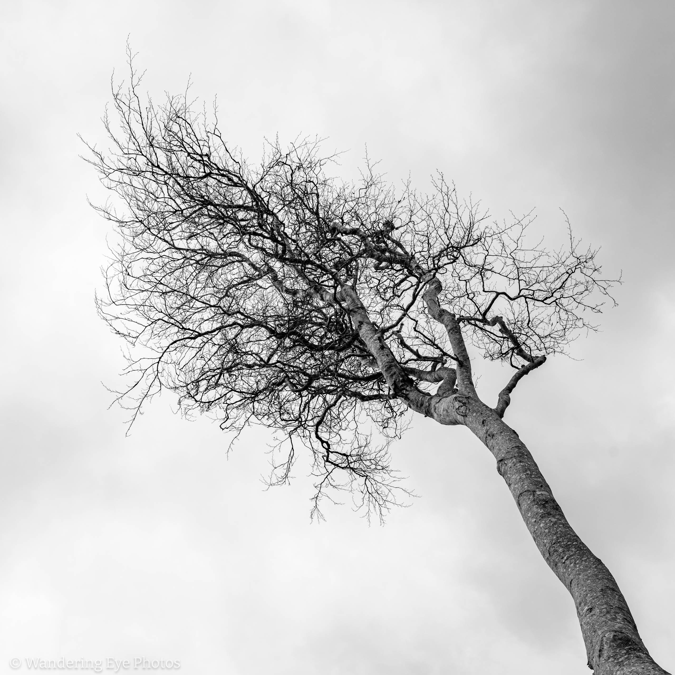 02.24 14.42.14   DSC05260